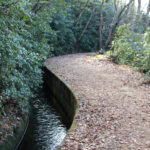 【エッセイ】とどめておきたい風景を書く理由