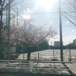 【エッセイ】春の陽。
