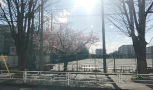 【エッセイ】春の陽。