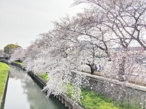 【エッセイ】新しい春。