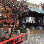 【エッセイ】秋の瞬間。